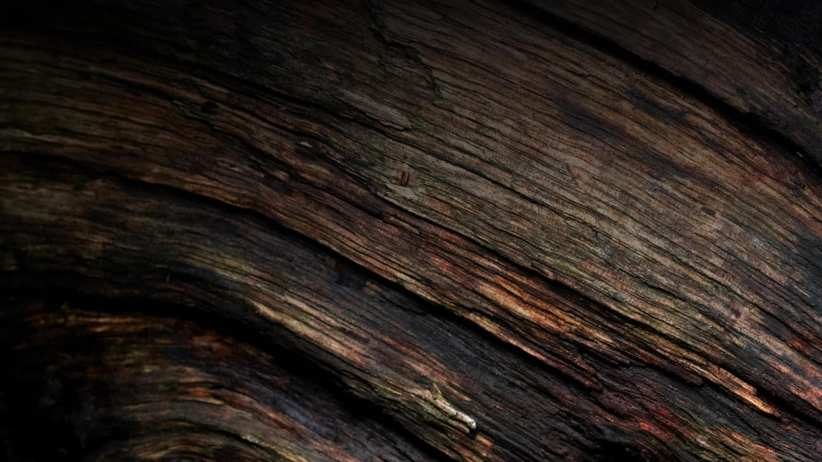 Timber Dark