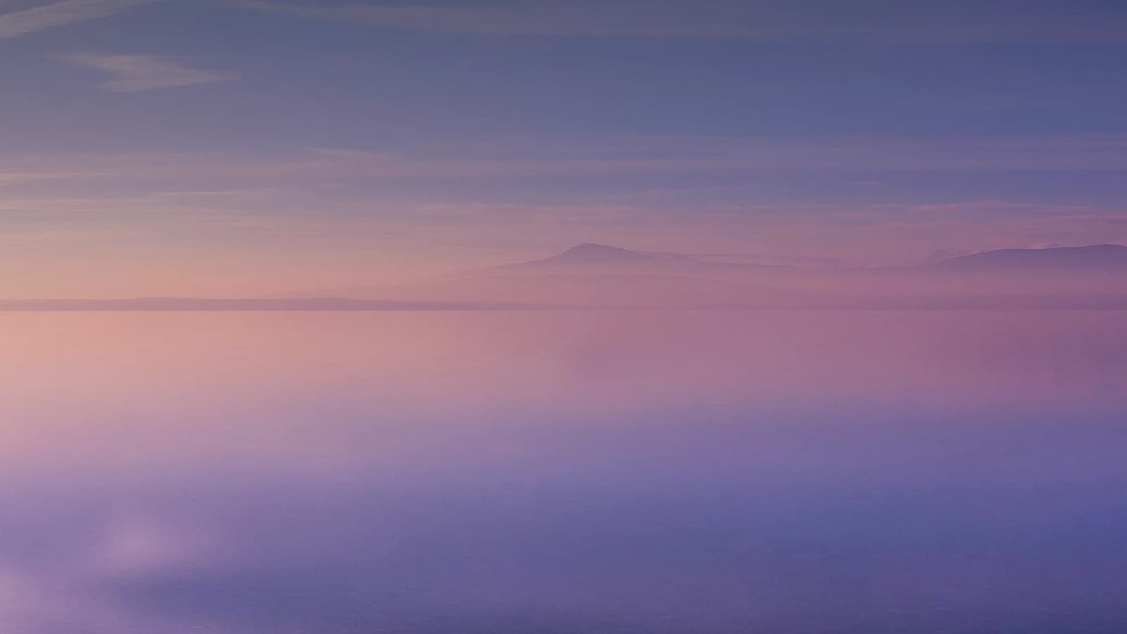 Thyme Calm