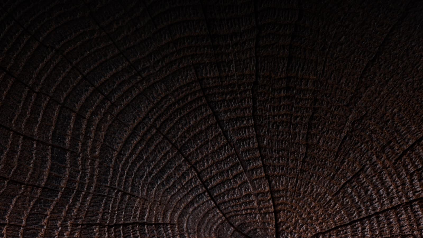 Oak Warm