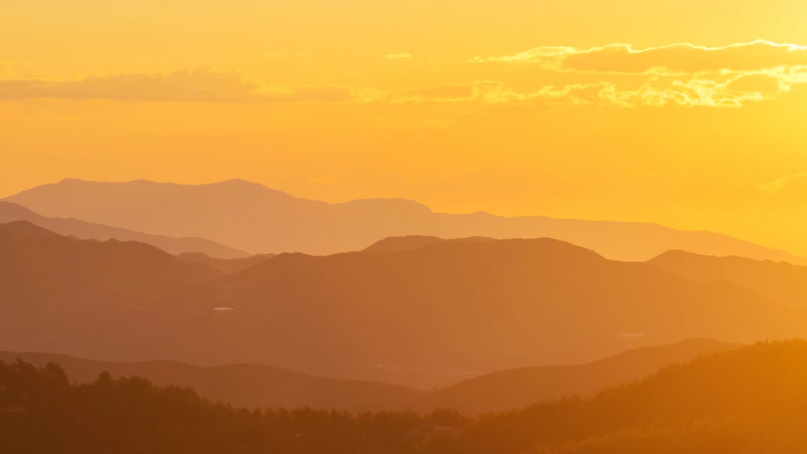 Sunset Glow