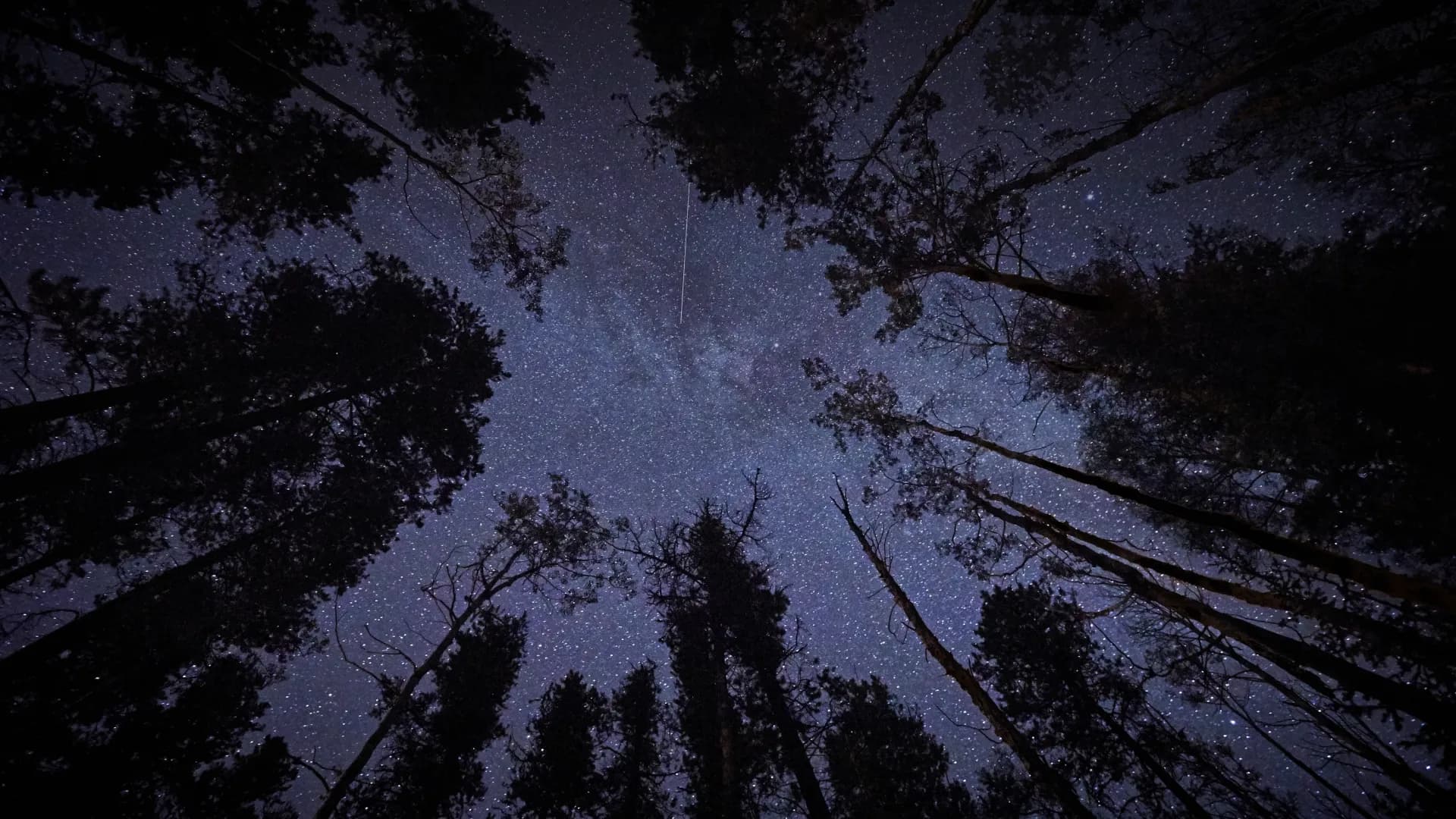 Midsummer Night