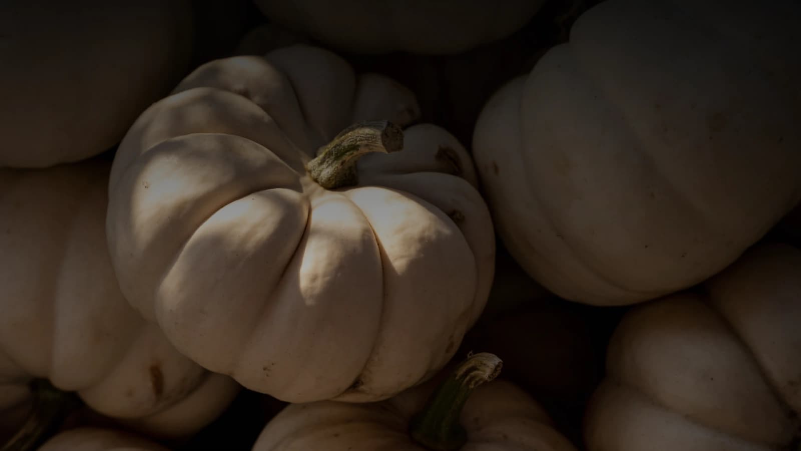 Soft Harvest